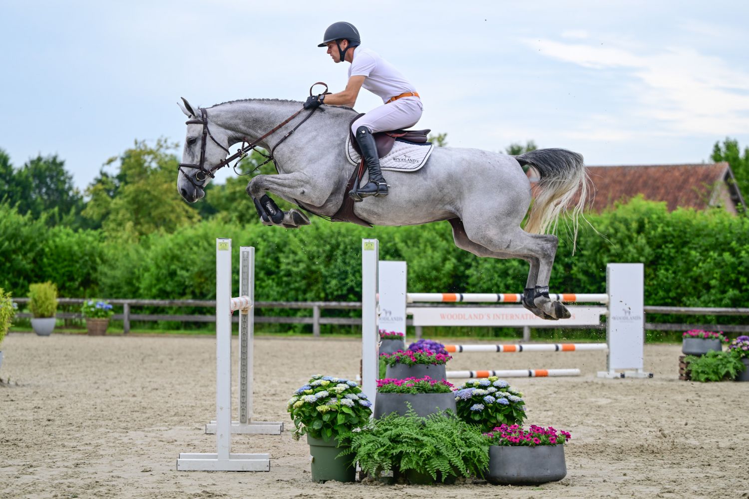 Caliente van Twelve Oaks Z
